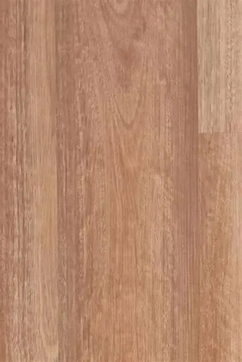 Coastal Spotted Gum (LW903)